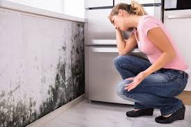 Mold Documentation for Insurance Claims in Woodmere, LA